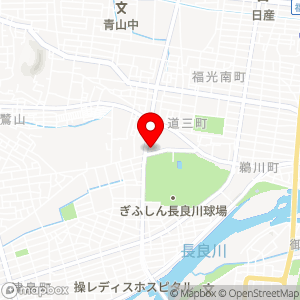 ファミリーマート 岐阜金華橋通り店の地図