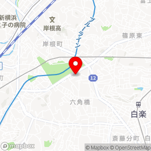 ザ・パーク 六角橋の地図