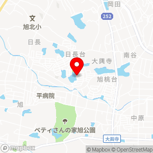 全日食チェーン DAIDOオレンジマートの地図