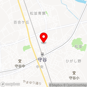 スペース24 ECO 守谷駅前第3の地図