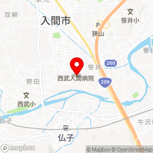 ベルク 入間野田店の地図