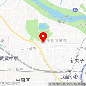ナビパーク 小杉御殿町第1の地図