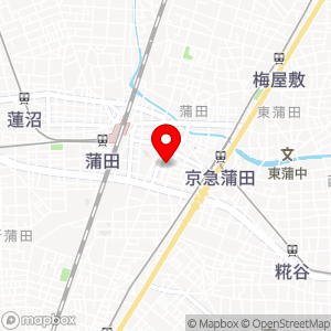 三井のリパーク 蒲田4丁目第8の地図