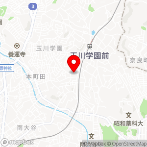 タイムズ 玉川学園南の地図