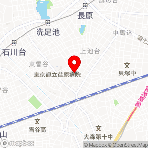 ナビパーク 東雪谷第1の地図