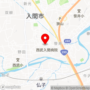 ファミリーマート 入間野田店の地図