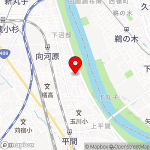 三井のリパーク 川崎中丸子第13の地図