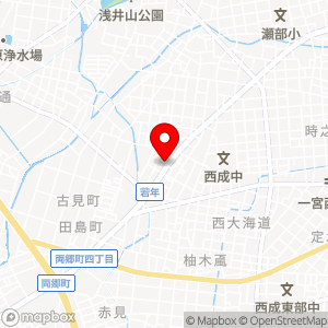 ファミリーマート 一宮若年北店の地図