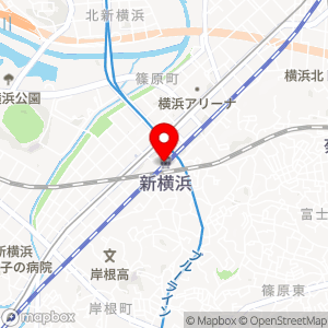 NewDays ミニ 新横浜2号の地図