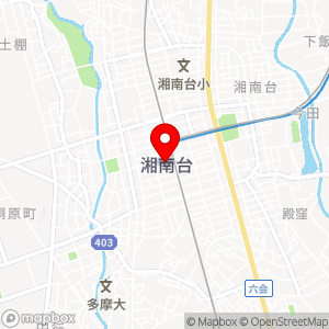 ダイレクトパーク 湘南台NO6の地図