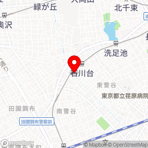 タイムズ 東雪谷第5の地図