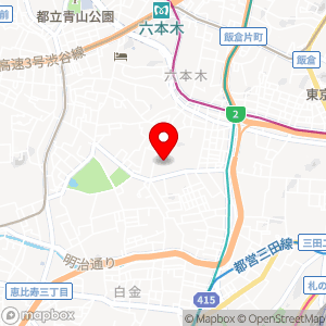 エコロパーク 元麻布第5の地図