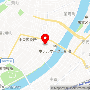 タイムズ イトーヨーカドー丸大新潟店の地図
