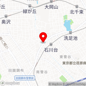 タイムズ 大田石川町第2の地図