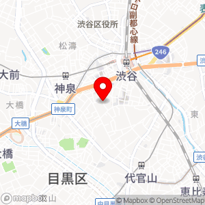 ナビパーク 南平台町第3の地図