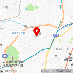 ナビパーク 白金第2の地図