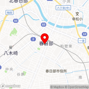 タイムズ 春日部中央第11の地図