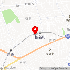 三井のリパーク 桜新町1丁目第3の地図