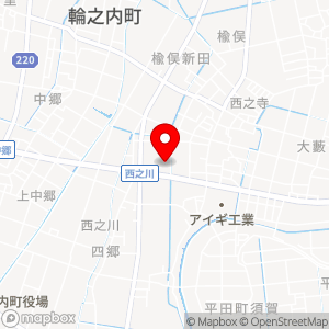 ザ・ビッグ 輪之内店の地図