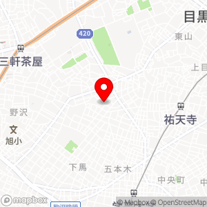 タイムズ 下馬第5の地図