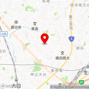 ナビパーク 東寺尾第1の地図