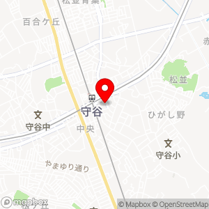 スペース24 チケパ 守谷駅前第18の地図