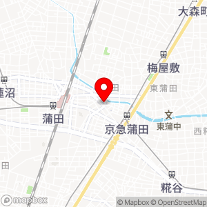 タイムズ 蒲田5丁目第2の地図