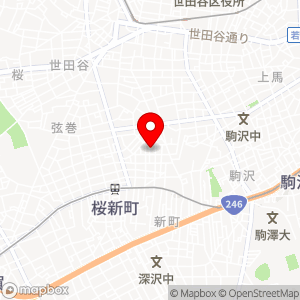 エコパーキング 世田谷新町の地図
