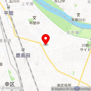 コスモインダストリー ウェルカム 鹿島田店の地図