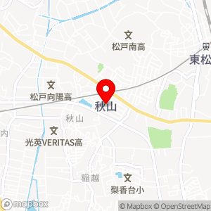ナビパーク 秋山第1の地図