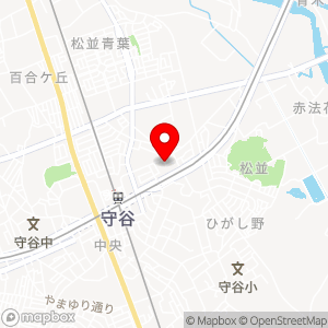 スペース24 チケパ 守谷駅前第17の地図
