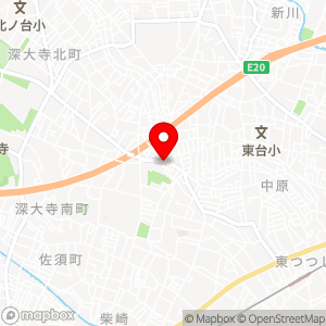 ナビパーク 柴崎第1の地図