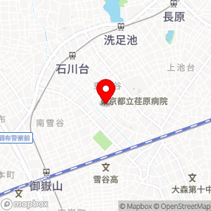 ナビパーク 東雪谷第2の地図