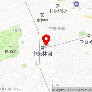 NPC24H 中央林間の地図