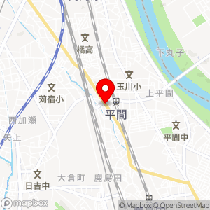 ナビパーク 鹿島田第4の地図