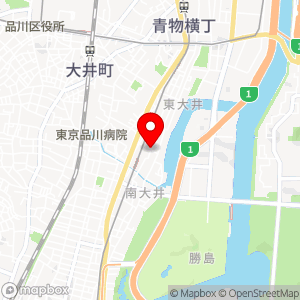 ナビパーク 東大井第1の地図