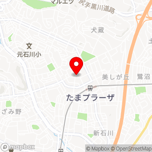 PEN ピ！パークたまプラーザの地図