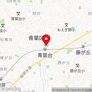 ニュー・クイック 富士ガーデン青葉台東急スクエア店の地図