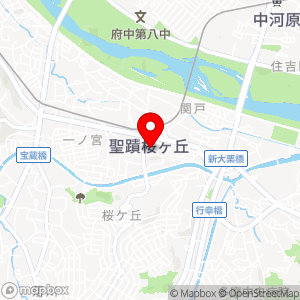 PEN 聖蹟桜ヶ丘ヴィータの地図