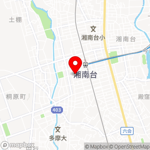 タイムズ 相石パーク湘南台NO9の地図
