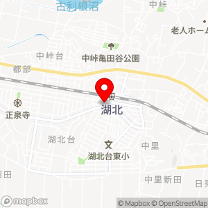 タイムズ 湖北の地図