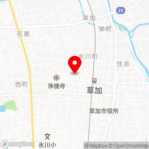 タイムズ 草加氷川町第29の地図