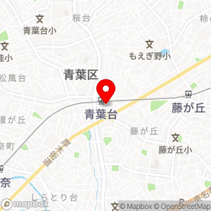 東急ライファ 青葉台駅前コインパーキングの地図