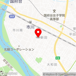 タイムズ 市川新田の地図
