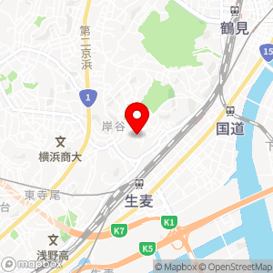 ナビパーク 岸谷第1の地図