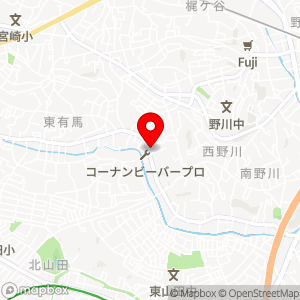 タイムパーキング 野川第2の地図