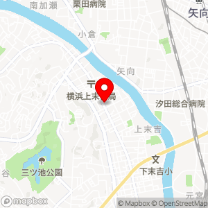 ザ・パーク 鶴見上末吉第1の地図