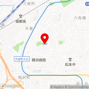 ローソン LTF横浜神大寺三丁目店の地図
