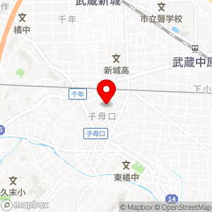 三井のリパーク 川崎子母口第3の地図