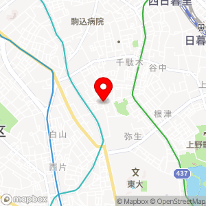 三井のリパーク 向丘2丁目第4の地図